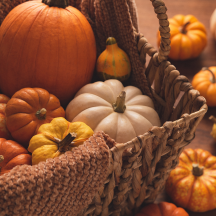 Basket of different coloured pumpkins of various sizes