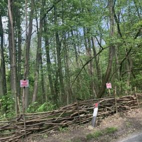 Image showing trees with wooden fencing in the foreground and red no trespassing signs at Fowlers Stone Wood.