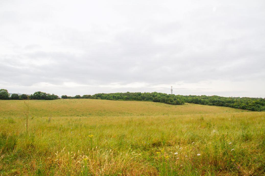 A view of Hazels farm