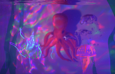 Colourful lit up octopus light show