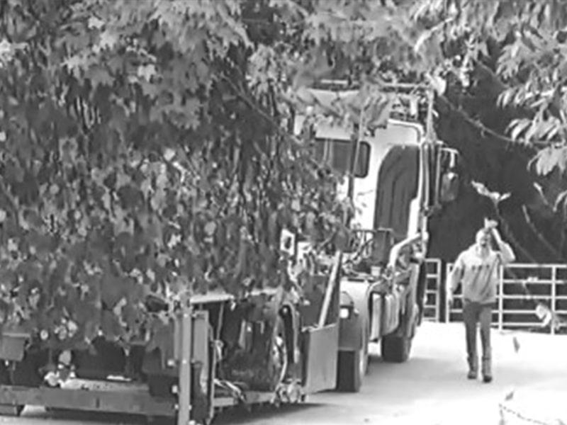 Black and white CCTV still showing man alongside his pick up vehicle