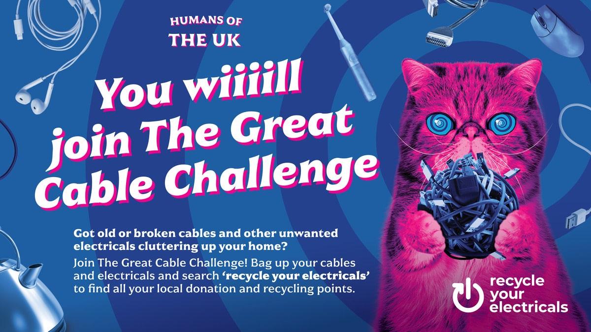 Blue banner with pink cat as part of the recycle your electrical campaign. Text reads: you wiiilll join the great cable challenge.