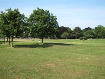 Field within Woodlands Park
