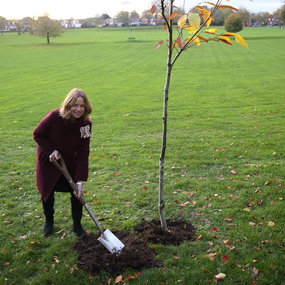 Lord Lieutenant of Kent planting a tree in a local park.