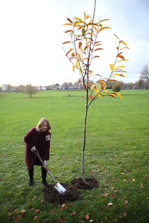 tree being planted in local park by Lord Lieutenant of Kent