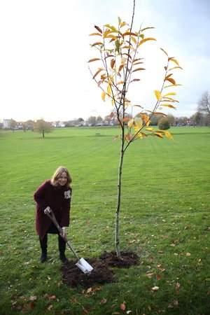 Lord Lieutenant of Kent planting a tree in a local park.