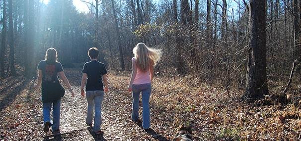 Three people walking along a woodland&#039;s pathway with sunshine beaming through the trees