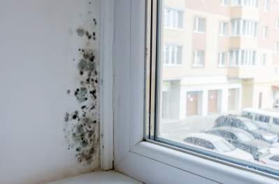 Close up of a window from the inside, showing mould forming around the edge.